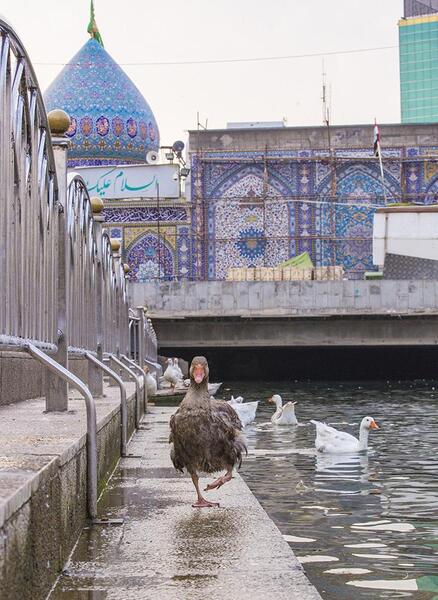 عکس کربلا زمان امام حسین