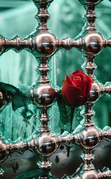 عکس برای تصویر زمینه کربلا