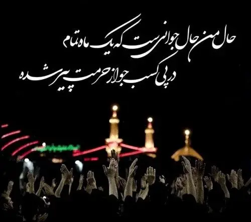 عکس تو راه کربلا