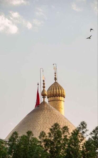عکس کربلای معلی جدید