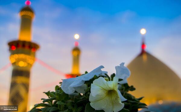 عکس از کربلای معلی