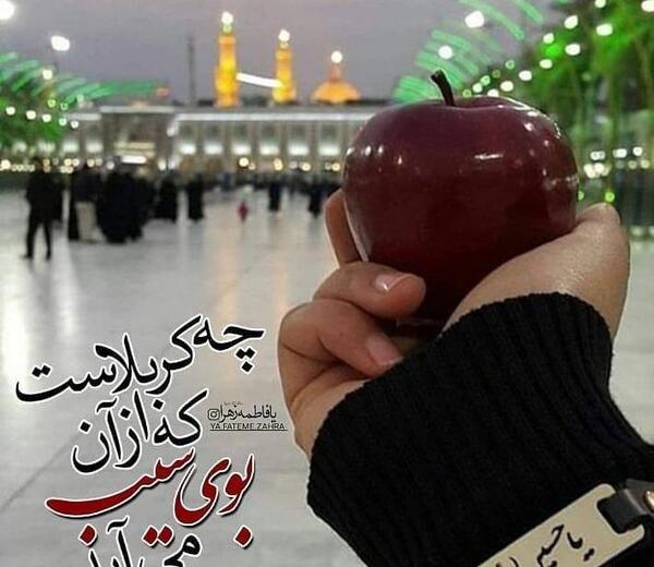 عکس زیارت قبولی کربلا