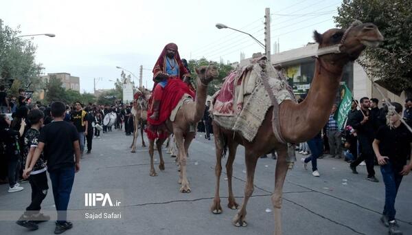 عکس از کاروان کربلا