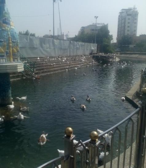 عکس شط فرات کربلا