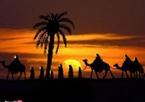 عکس شط فرات کربلا