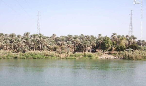 عکس آب فرات کربلا