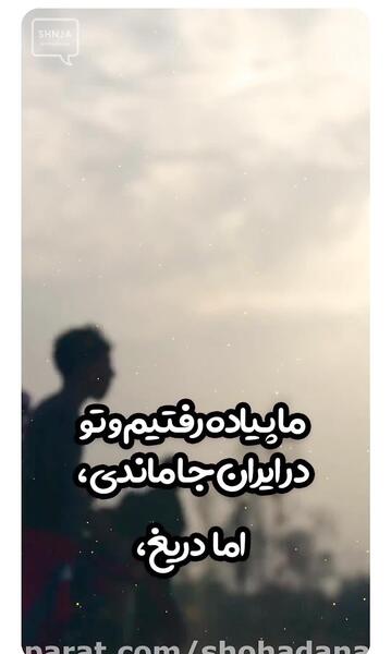 عکس سفر کربلا به سلامت