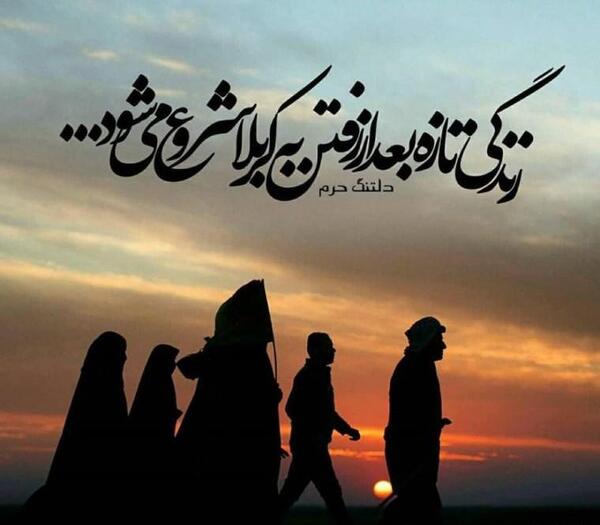 عکس سفر کربلا به سلامت