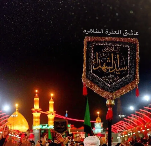 عکس سفر کربلا به سلامت