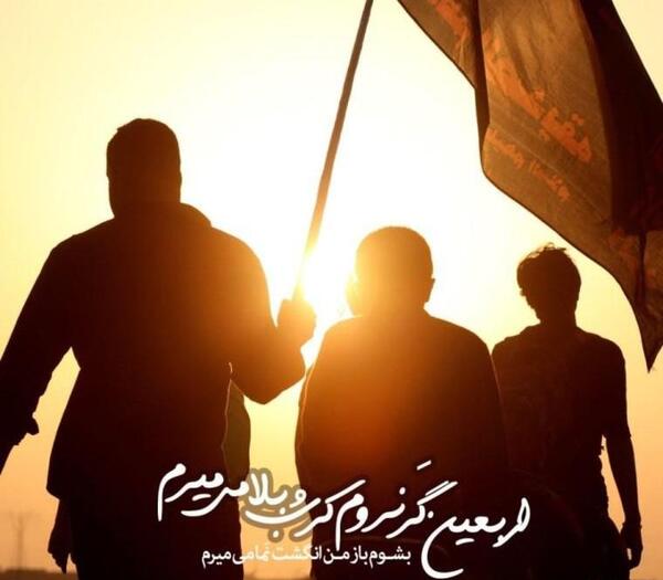 عکس سفر کربلا به سلامت