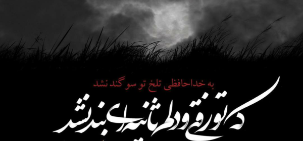 عکس سفر کربلا به سلامت