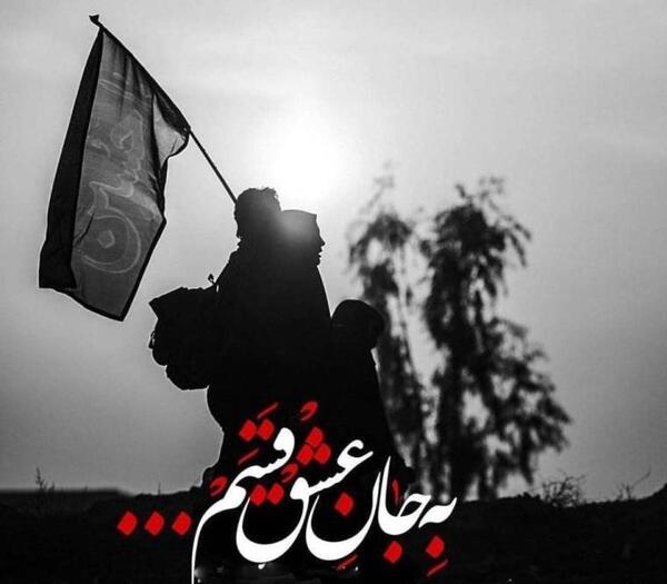 عکس سفر کربلا به سلامت