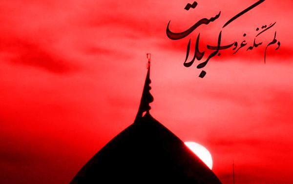 عکس سفر به کربلا