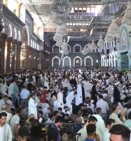 عکس عرفه کربلا