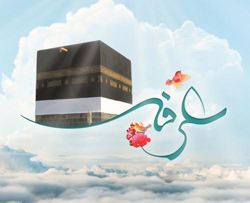 عکس عرفه کربلا