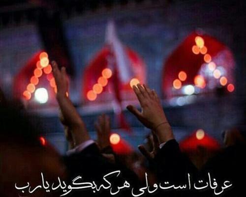 عکس پروفایل عرفه کربلا