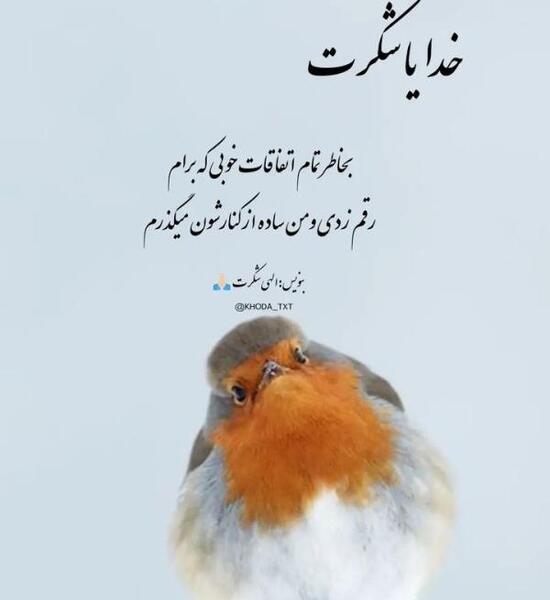 عکس زائر کربلا التماس دعا