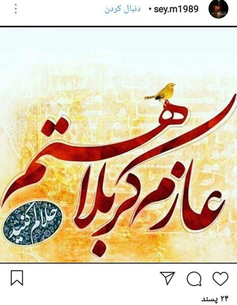 عکس زائر کربلایم حلالم کنید