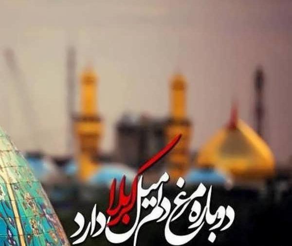 چند عکس از کربلا