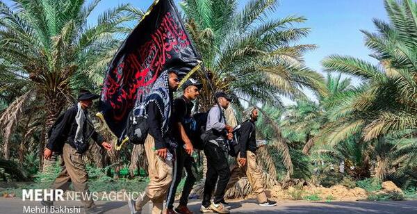 عکس جاده نجف به کربلا