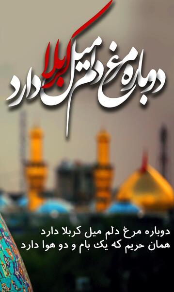 عکس پروفایل جز کربلا این دل تمنایی ندارد