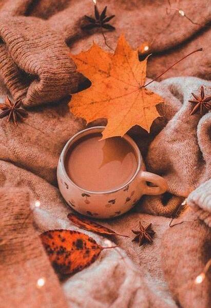 عکس های کیوت قهوه ای