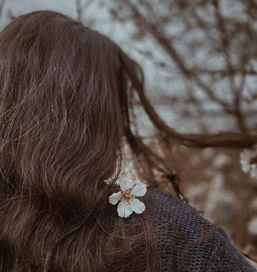 عکس های کیوت قهوه ای