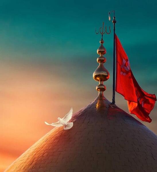 عکس پروفایل حرم امام حسین دخترونه