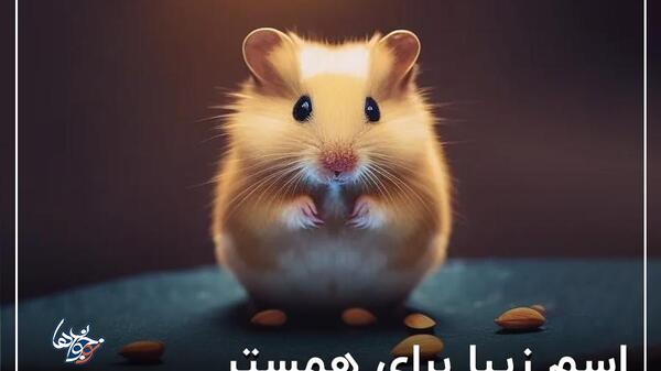 عکس های کیوت همستر