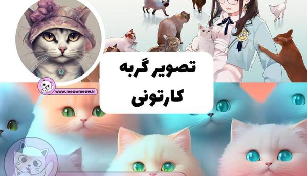عکس گربه های کیوت کارتونی