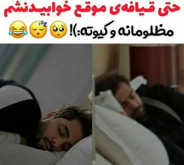 عکس های کیوت طلایی