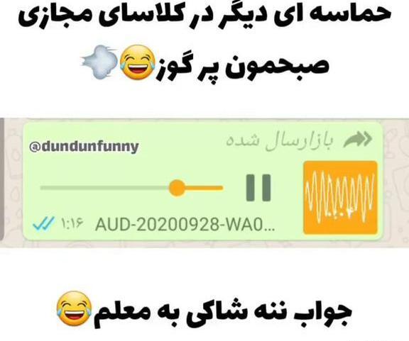 عکس سوتی های کلاس آنلاین مادران