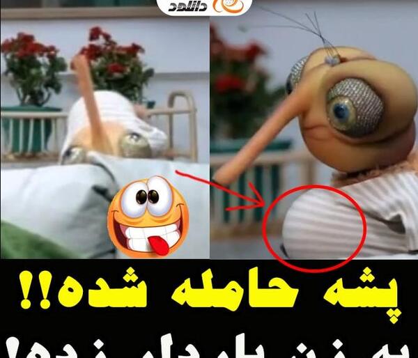 عکس سوتی های احمدی نژاد پشه