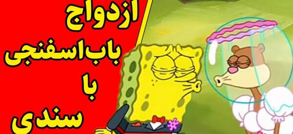 عکس سوتی باب اسفنجی خنده دار