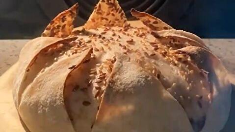 عکس سوتی پلو به فارسی