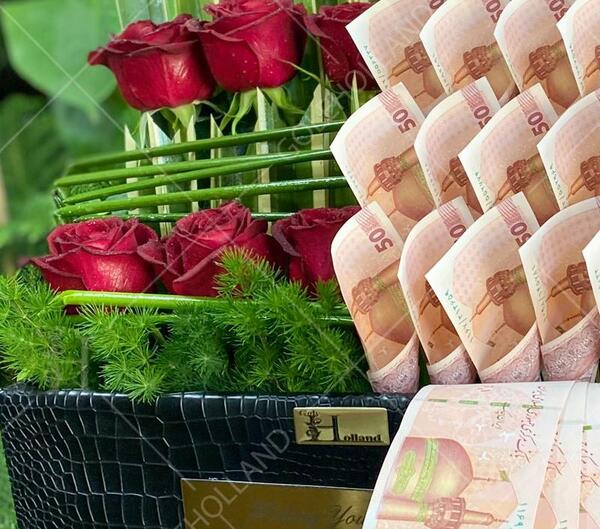 عکس یک دسته پول