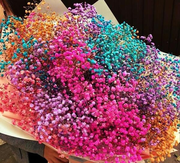 عکس دسته گل شیر کاکائو