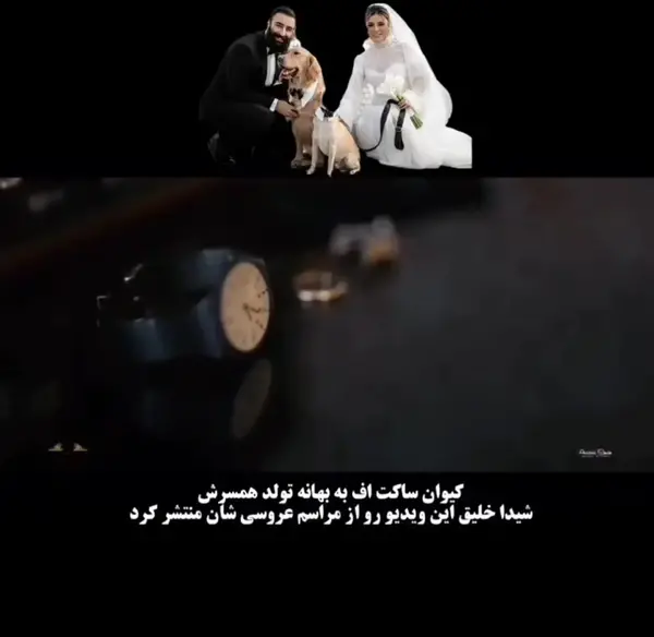 عکس مراسم عروسی شیدا خلیق