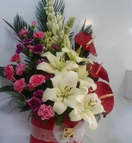 عکس مراسم خواستگاری فیک