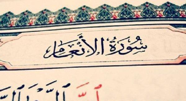 عکس مراسم ختم انعام