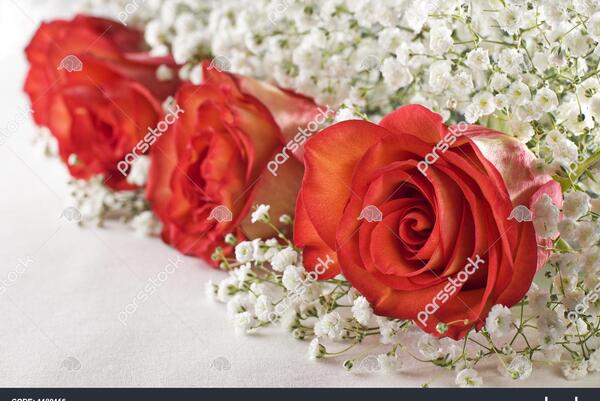 عکس دسته گل hd