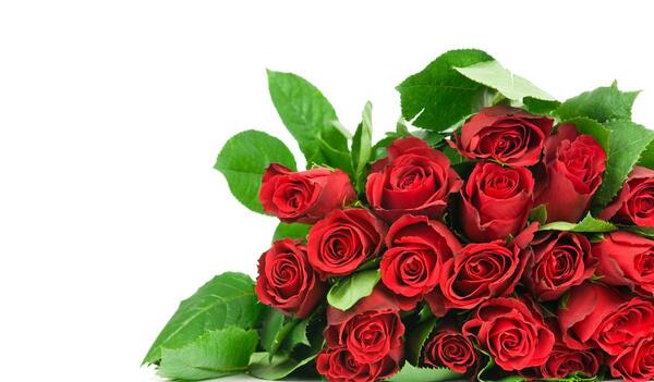 عکس دسته گل hd