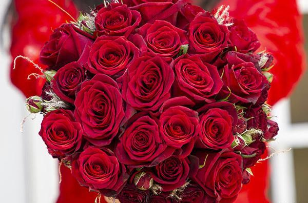 عکس دسته گل hd