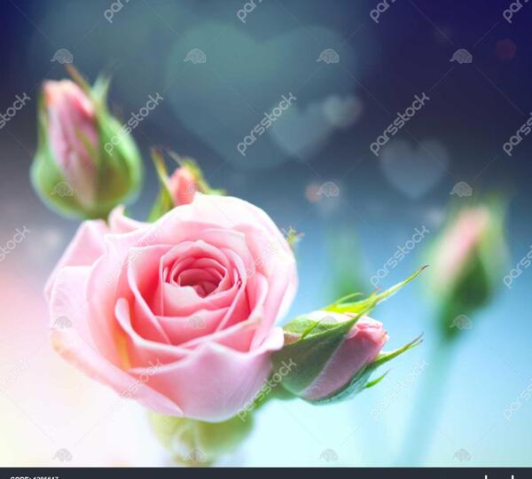 عکس دسته گل hd