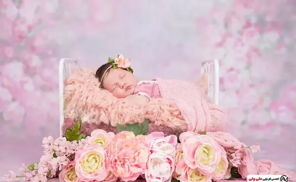 عکس دسته گل نوزادی