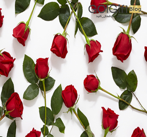 عکس دسته گل رز واقعی