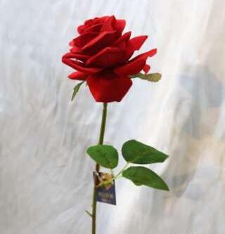 عکس دسته گل رز واقعی