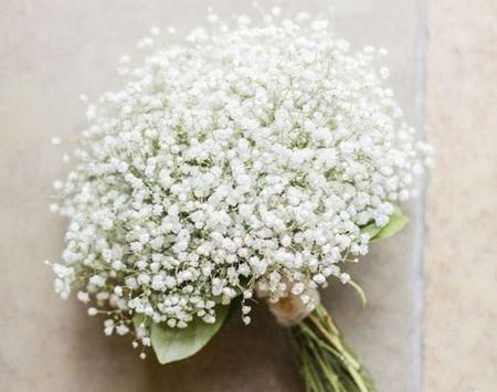 عکس دسته گل های ژیپسوفیلا