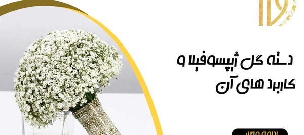 عکس دسته گل های ژیپسوفیلا