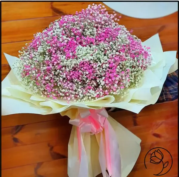 عکس دسته گل های ژیپسوفیلا